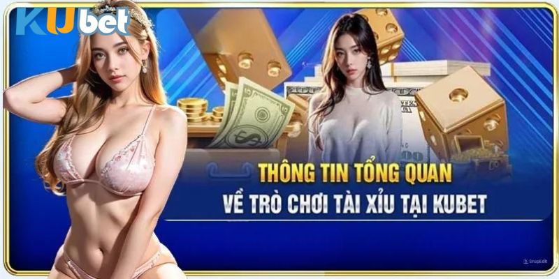 Giới thiệu sơ lược tài xỉu Kubet